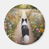 Border Collie Magnet (Voorkant)