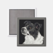 Border Collie Magnet - "Ben" (Voorkant / Achterkant)