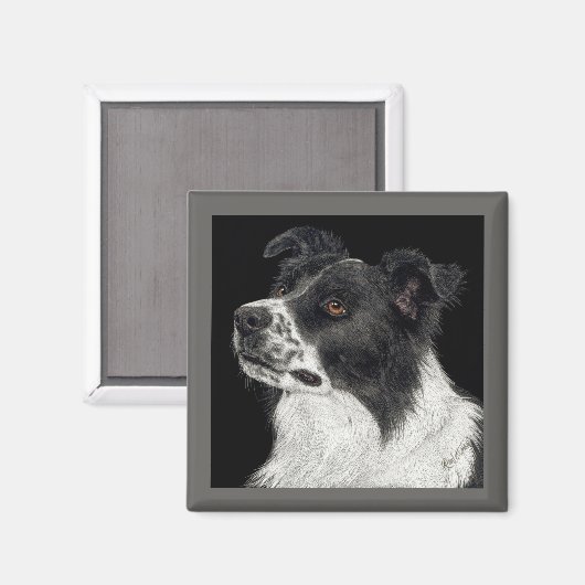 Border Collie Magnet - "Ben" (Voorkant / Achterkant)