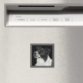 Border Collie Magnet - "Ben" (Insitu (Vaatwasser))