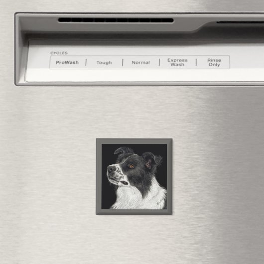 Border Collie Magnet - "Ben" (Insitu (Vaatwasser))