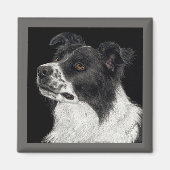 Border Collie Magnet - "Ben" (Voorkant)
