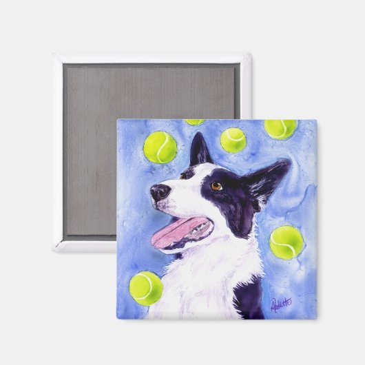 Border Collie Magnet - "Magpie's Gold" (Voorkant / Achterkant)