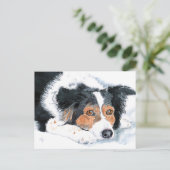 Border Collie Mattie Post Cards Briefkaart (Staand voorkant)