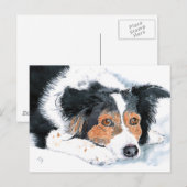 Border Collie Mattie Post Cards Briefkaart (Voorkant / Achterkant)