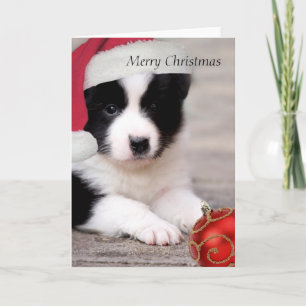 Border Collie - Merry Kerstcard Feestdagen Kaart