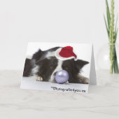 Border Collie met kerst pet Feestdagen Kaart (Achterkant)