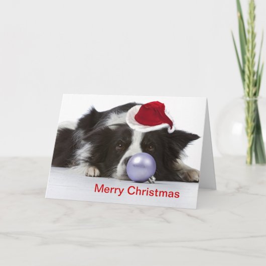 Border Collie met kerst pet Feestdagen Kaart (Voorkant)