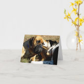 Border Collie met neus in het oor van de Engelse M Kaart (Gele Bloem)