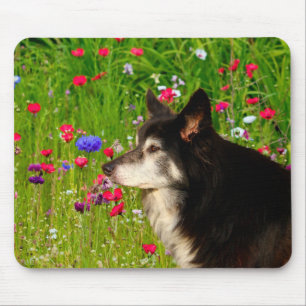 Border Collie met prachtige bloemen Muismat