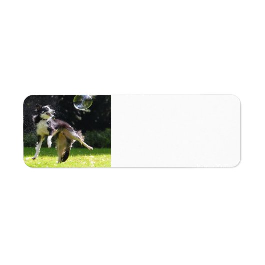 border collie met zeepbel etiket (Voorkant)