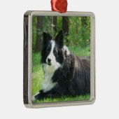 Border Collie Metalen Ornament (Rechts)