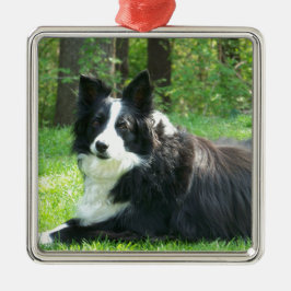 Border Collie Metalen Ornament