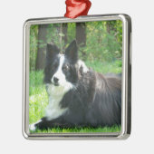 Border Collie Metalen Ornament (Links)