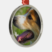 Border Collie Metalen Ornament (Rechts)