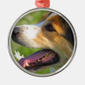 Border Collie Metalen Ornament (Voorkant)