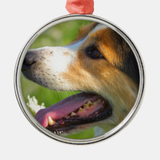 Border Collie Metalen Ornament