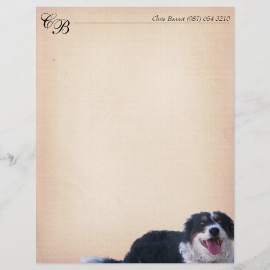 Border Collie Mix (Voorkant)