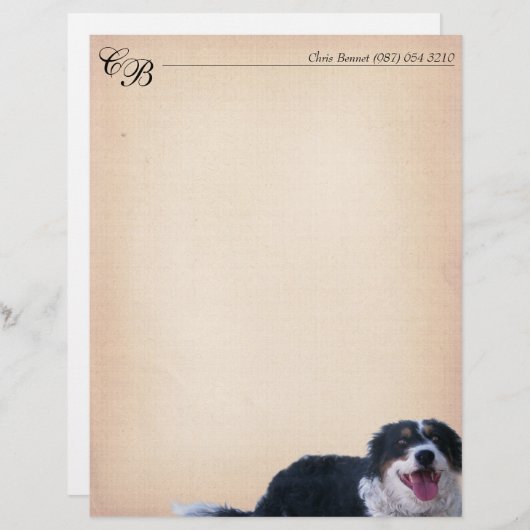 Border Collie Mix (Voorkant / Achterkant)