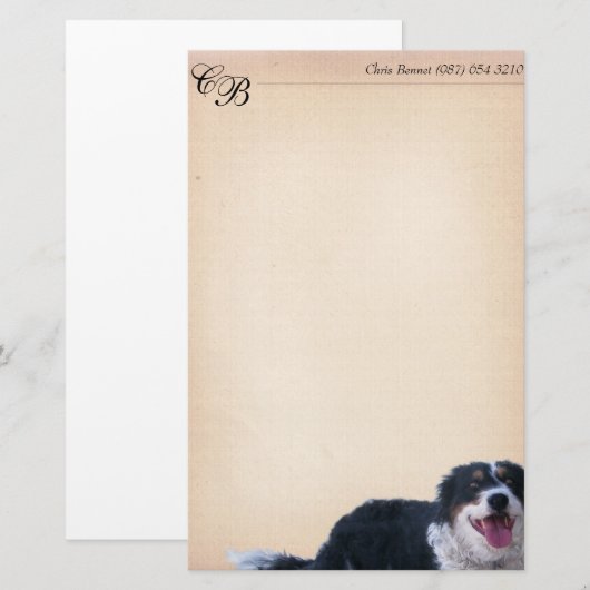 Border Collie Mix Briefpapier (Voorkant / Achterkant)