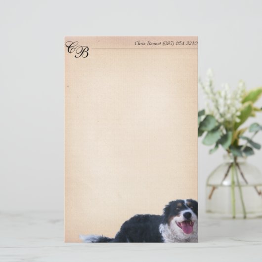 Border Collie Mix Briefpapier (Staand voorkant)
