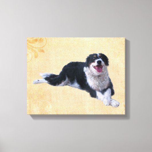 Border Collie Mix Canvas Afdruk (Voorkant)