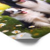 Border Collie moeder en haar puppy Poster (Hoek)