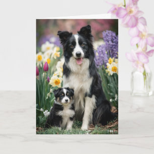 Border Collie Moeder Moederdag Liefde Kaart