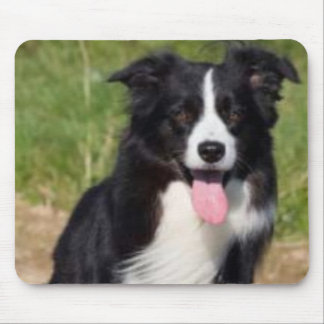 Border Collie Mousepad Muismat