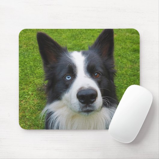 Border Collie Muismat (Met muis)