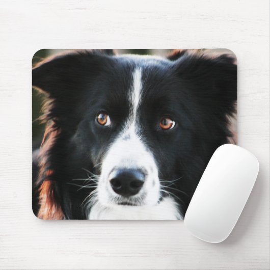 Border Collie Muismat (Met muis)