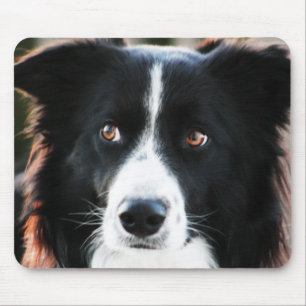 Border Collie Muismat