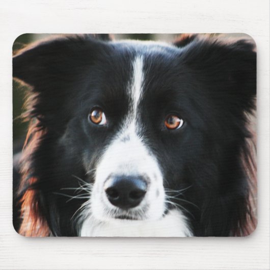 Border Collie Muismat (Voorkant)