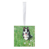 Border Collie Name Two Photo Kerstvakantie Decoratie (Rechts)