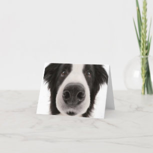 Border collie Notecard Kaart