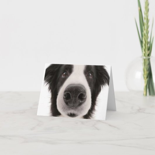 Border collie Notecard Kaart (Voorkant)