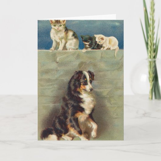 Border Collie Notecard Kaart (Voorkant)