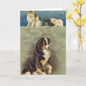Border Collie Notecard Kaart (Gele Bloem)