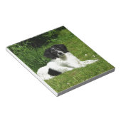 Border Collie Notitieblok (Schuin)