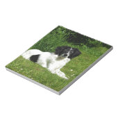 Border Collie Notitieblok (Linkerzijde)