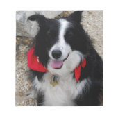 Border Collie Notitieblok (Voorkant)