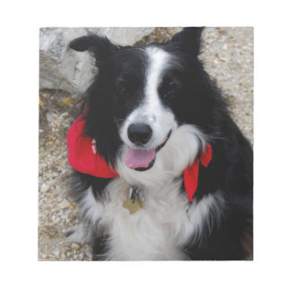 Border Collie Notitieblok