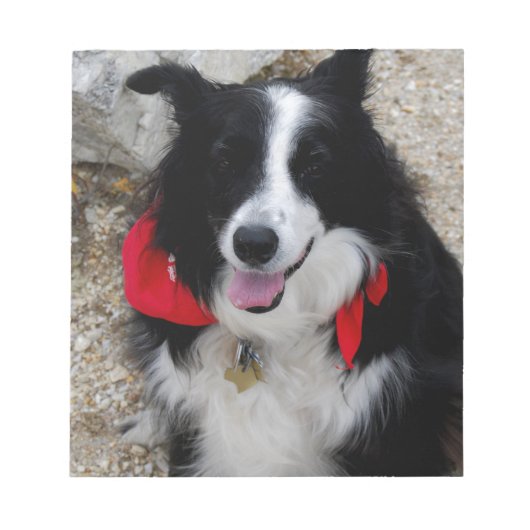 Border Collie Notitieblok (Voorkant)