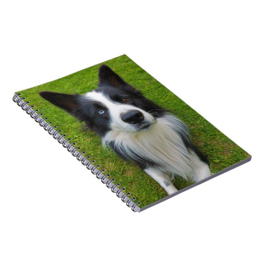 Border Collie Notitieboek (Rechterzijde)