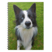Border Collie Notitieboek (Voorkant)