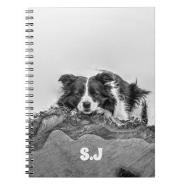 Border Collie Notitieboek