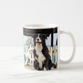 Border Collie on the beach Koffiemok