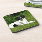 Border Collie Onderzetter (Linkerzijde)