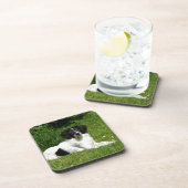 Border Collie Onderzetter (Rechterzijde)