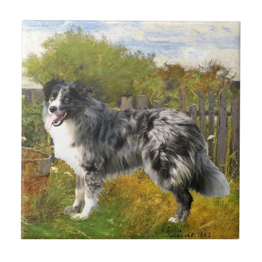 Border Collie op de boerderij Tegeltje (Voorkant)